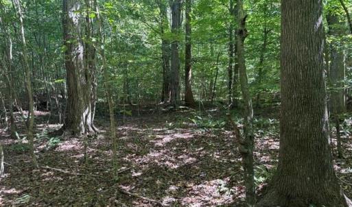 Photo #36 of Sandy Cross, Reidsville, NC 28.4 acres