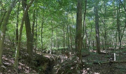 Photo #32 of Sandy Cross, Reidsville, NC 28.4 acres