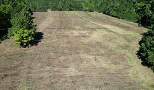 Photo #20 of Sandy Cross, Reidsville, NC 28.4 acres