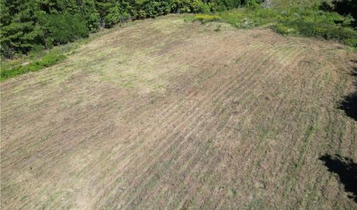 Photo #24 of Sandy Cross, Reidsville, NC 28.4 acres