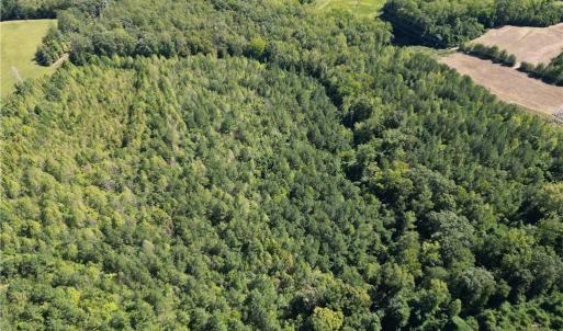 Photo #14 of Sandy Cross, Reidsville, NC 28.4 acres