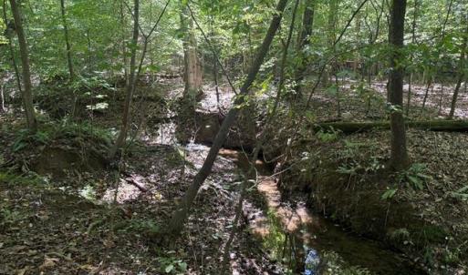 Photo #45 of Sandy Cross, Reidsville, NC 28.4 acres