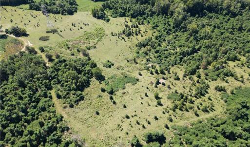 Photo #15 of Sandy Cross, Reidsville, NC 28.4 acres