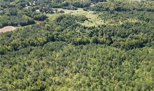 Photo #11 of Sandy Cross, Reidsville, NC 28.4 acres