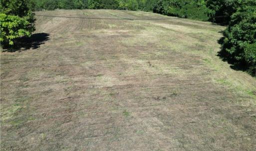 Photo #19 of Sandy Cross, Reidsville, NC 28.4 acres