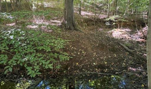 Photo #44 of Sandy Cross, Reidsville, NC 28.4 acres