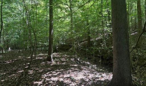 Photo #35 of Sandy Cross, Reidsville, NC 28.4 acres