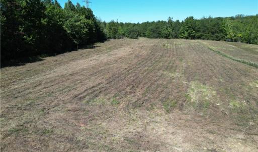 Photo #4 of Sandy Cross, Reidsville, NC 28.4 acres