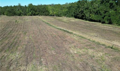 Photo #21 of Sandy Cross, Reidsville, NC 28.4 acres