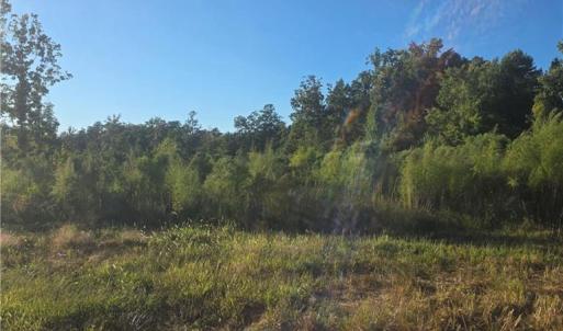 Photo #2 of 3655 Mack Lineberry, Franklinville, NC 20.8 acres