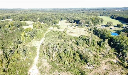 Photo #7 of 3655 Mack Lineberry, Franklinville, NC 20.8 acres