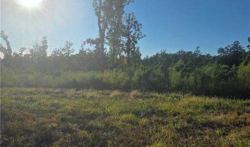 Photo #3 of 3655 Mack Lineberry, Franklinville, NC 20.8 acres