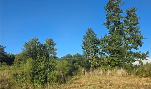 Photo #5 of 3655 Mack Lineberry, Franklinville, NC 20.8 acres