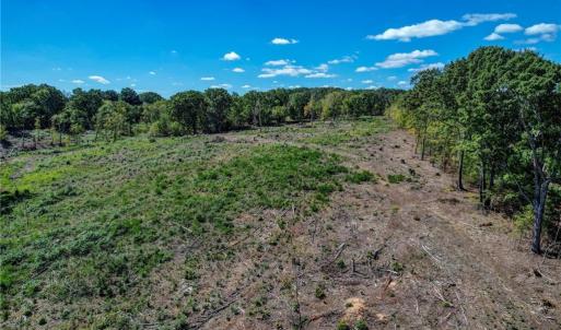 Photo #13 of Wolf Island, Reidsville, NC 13.7 acres