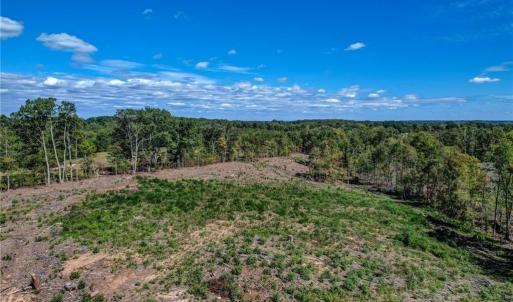 Photo #12 of Wolf Island, Reidsville, NC 13.7 acres