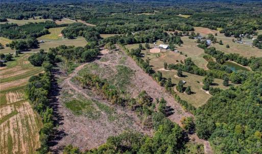 Photo #7 of Wolf Island, Reidsville, NC 13.7 acres