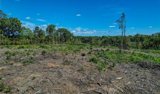 Photo #11 of Wolf Island, Reidsville, NC 13.7 acres