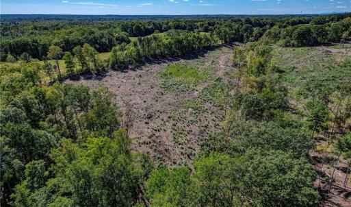 Photo #12 of Wolf Island, Reidsville, NC 11.0 acres