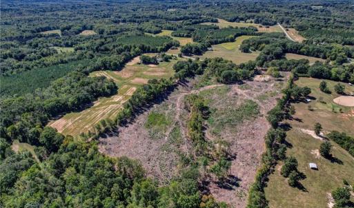 Photo #7 of Wolf Island, Reidsville, NC 11.0 acres