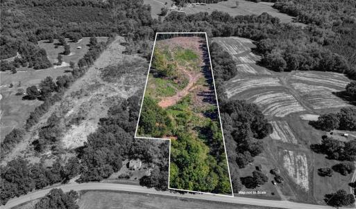 Photo #1 of Wolf Island, Reidsville, NC 11.0 acres