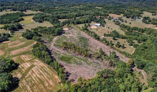 Photo #8 of Wolf Island, Reidsville, NC 11.0 acres
