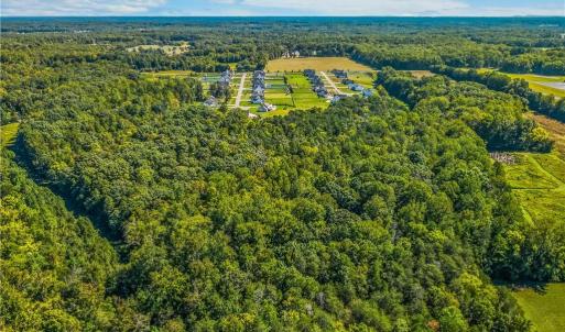 Photo #8 of Fork Bixby, Advance, NC 34.4 acres