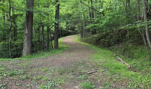 Trails throughout