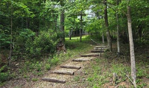 Steps to the lake