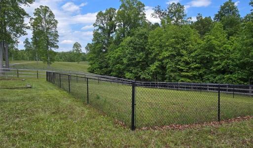 Fenced for visiting pets