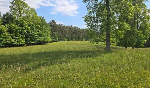 Grassy meadows
