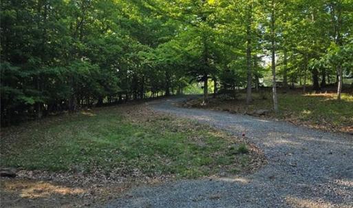 Winding road from the Main home to the guest cabin