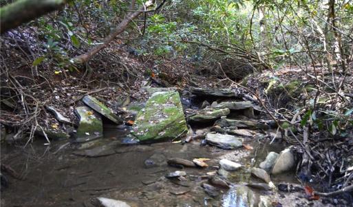 Photo #12 of 1541-1345 NC Highway 89, Danbury, NC 97.9 acres