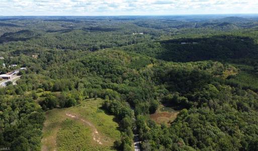 Photo #3 of 1541-1345 NC Highway 89, Danbury, NC 97.9 acres