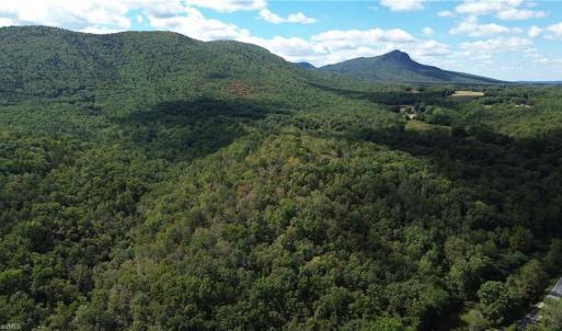 Photo #1 of 1541-1345 NC Highway 89, Danbury, NC 97.9 acres