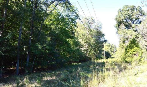 Photo #20 of 1541-1345 NC Highway 89, Danbury, NC 97.9 acres