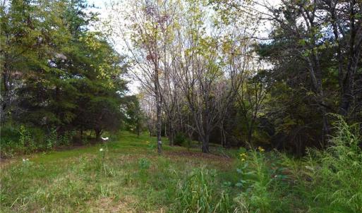Photo #30 of 1541-1345 NC Highway 89, Danbury, NC 97.9 acres