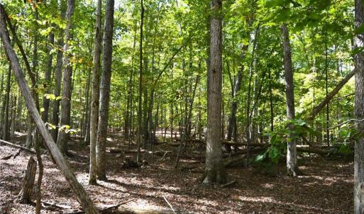 Photo #32 of 1541-1345 NC Highway 89, Danbury, NC 97.9 acres