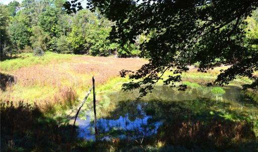 Photo #24 of 1541-1345 NC Highway 89, Danbury, NC 97.9 acres