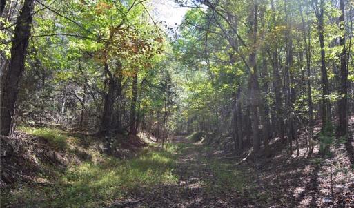 Photo #25 of 1541-1345 NC Highway 89, Danbury, NC 97.9 acres