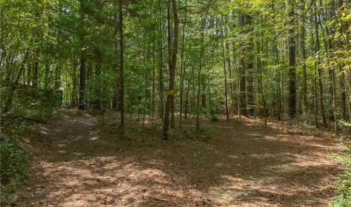 Photo #2 of 1960 Wilson, Linwood, NC 67.1 acres