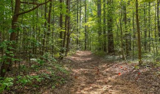 Photo #3 of 1960 Wilson, Linwood, NC 67.1 acres