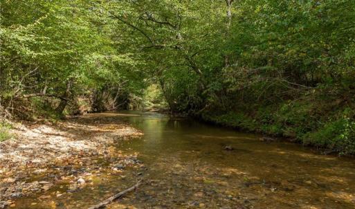 Approximately 4,000 feet of creek frontage to Pinch Gut Creek.
