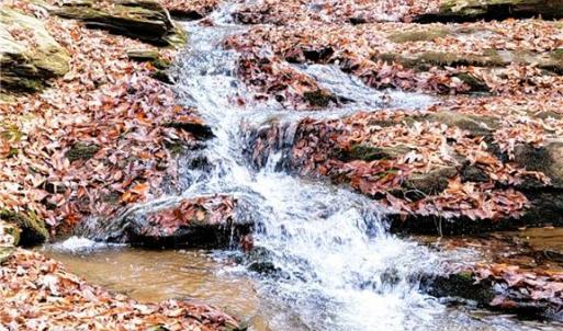 Photo #17 of Wright, Westfield, NC 136.4 acres