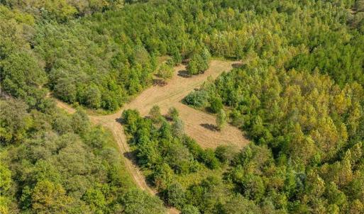 Numerous ATV trails throughout the property