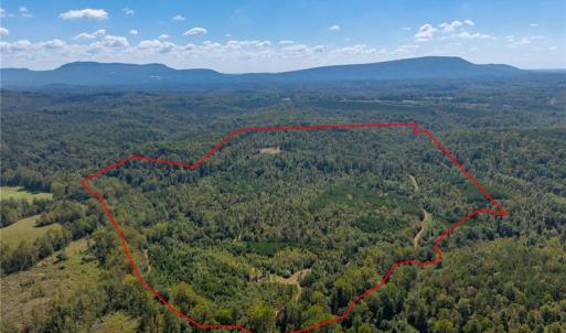 136 plus acres of vacant land with mountain views, ATV trails, wildlife, max elevations up to 1,100 feet, and approx. 4,000 feet of creek frontage to Pinch Gut Creek.  30 ft. Easement off Wright Road to top of knoll.