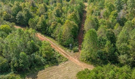 Photo #9 of Wright, Westfield, NC 136.4 acres
