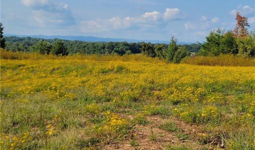 Photo #15 of Wright, Westfield, NC 136.4 acres