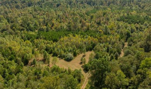 Old working farmland with a blend of mixed hardwoods, elevated ridges, and plenty of lower bottom land that is an ideal natural ecosystem for game.  Property is in the Forestry Present Use Tax Deferment program.