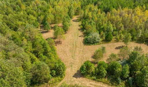 Photo #10 of Wright, Westfield, NC 136.4 acres