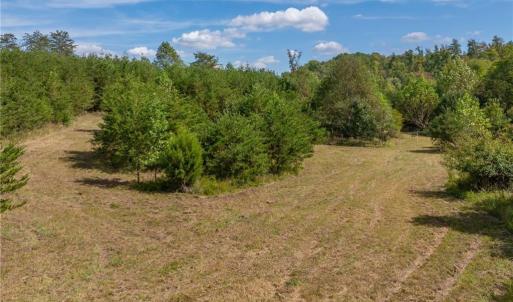 Multiple cabin site possibilities with plenty of gently flat laying acreage